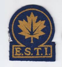 ESTI arm badge yellow flocked on blue felt. Author’s collection.