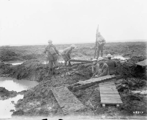  Canadian Pioneers laying trench mats over mud. Battle of Passchendaele. 