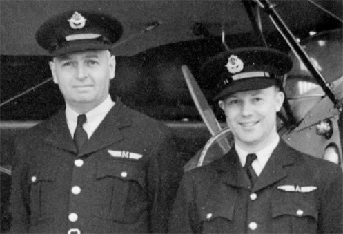 Close-up of the wings worn by non-training staff. MilArt photo archives