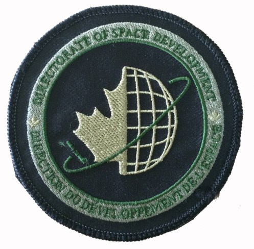 Subdued pattern of the D Space D patch as worn on the right sleeve. Author's collection