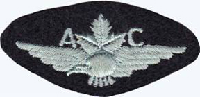 This badge is one of a pair worn with the eagle facing backwards.  It has a fine black backing material.