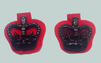 pip4_pennys crown_sept