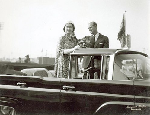 Their Majesties taking advantage of their freedom to stand in the car.