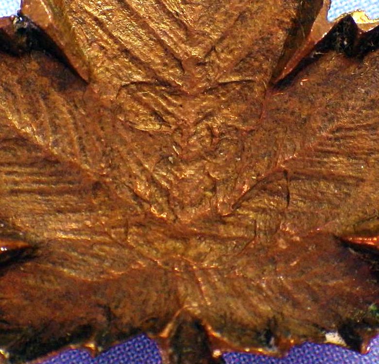 10) faint anchor outline